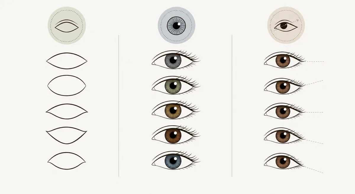 Editorial eye diagram separating eye outline, iris color, and corner angle